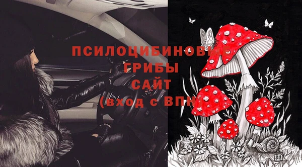 ПСИЛОЦИБИНОВЫЕ ГРИБЫ Алексеевка