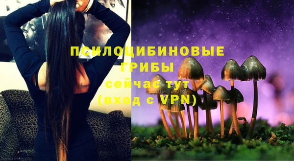 не бодяженный Лагань