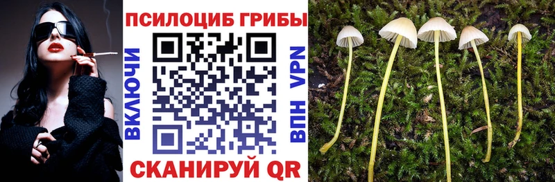 цена наркотик  Шумерля  Псилоцибиновые грибы GOLDEN TEACHER 