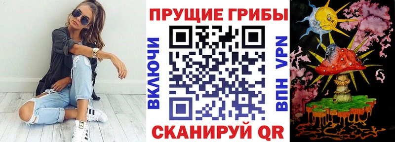 Псилоцибиновые грибы Cubensis Шумерля